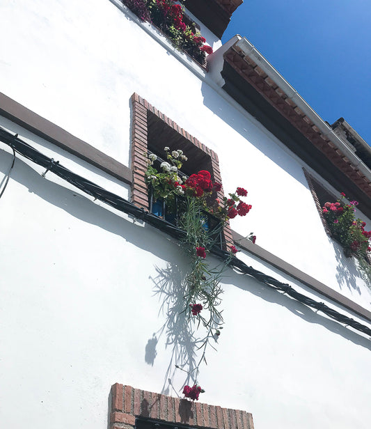 Life in Andalucia